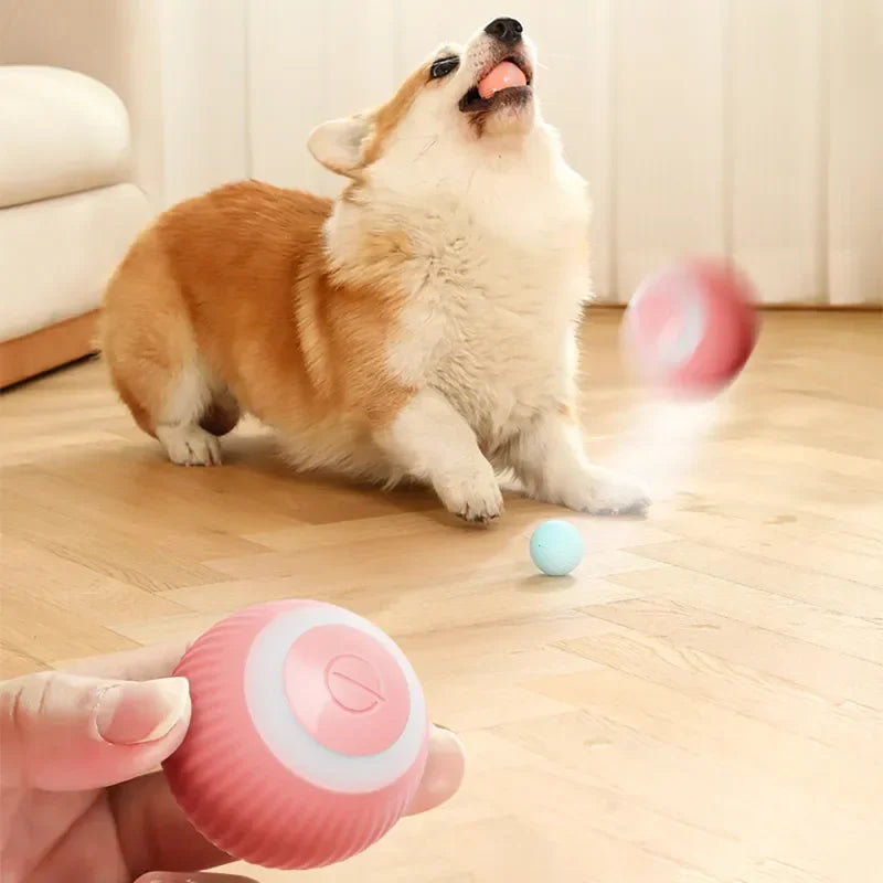 Bola de Rolamento Automático, o melhor Brinquedo para seu PET